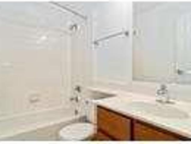 1 Bedroom 1 Bath In Oak Park IL 60301