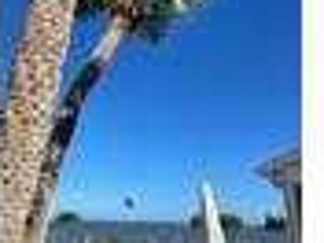 1 Bedroom 1 Bath In Sebastian FL 32958