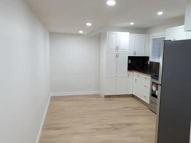 1 Bedroom 1 Bath Walkout Unit in Renfrew Area