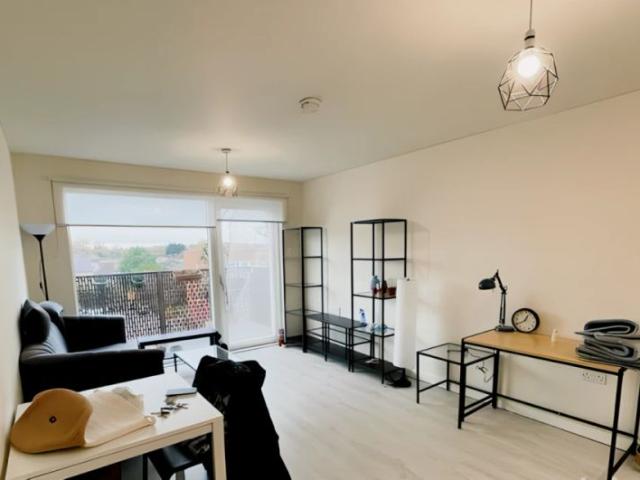 1 Bedroom 1 Bathroom