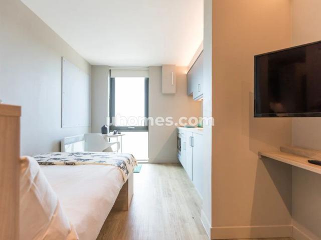 1 Bedroom, 1 Bathroom