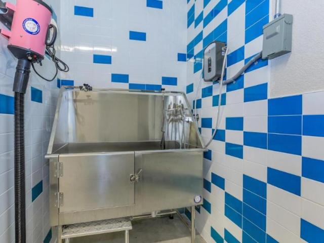 1 bedroom, Colorado Springs CO 80903 105164414