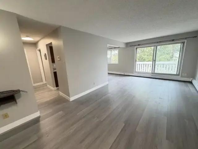 1 Bedroom Condo Edmonton AB 106044664