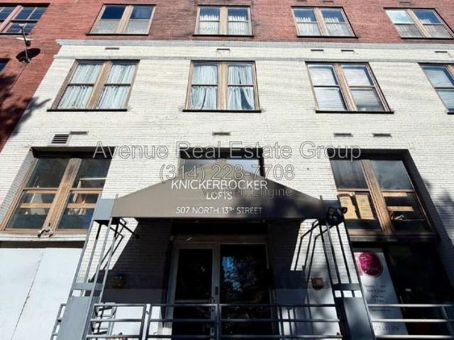 1 Bedroom Condo for Rent at 507 N 13th St #708, St. Louis, MO 63103 Downtown St. Louis