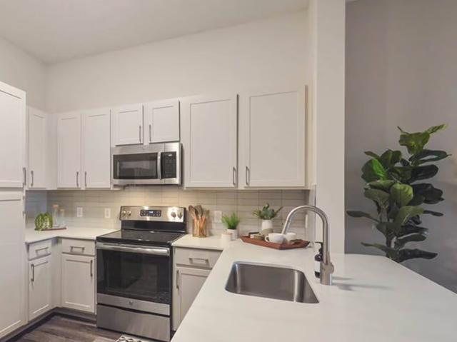 1 Bedroom Condo for Rent at 5080 Pear Ridge Drive #2.1005, Dallas, TX 75287
