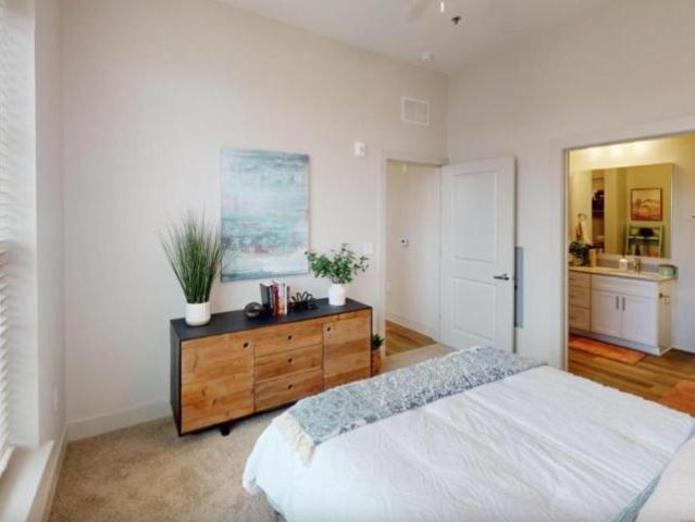 1 bedroom, Charlotte NC 28206 LS100005941