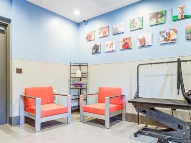 1 bedroom, Charlotte NC 28209 105640066