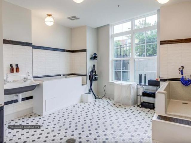 1 bedroom, Charlotte NC 28203 104951643
