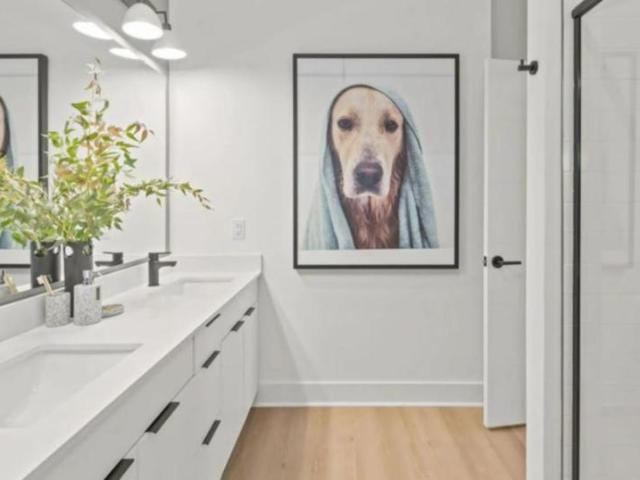 1 bedroom, Charlotte NC 28203 105987866