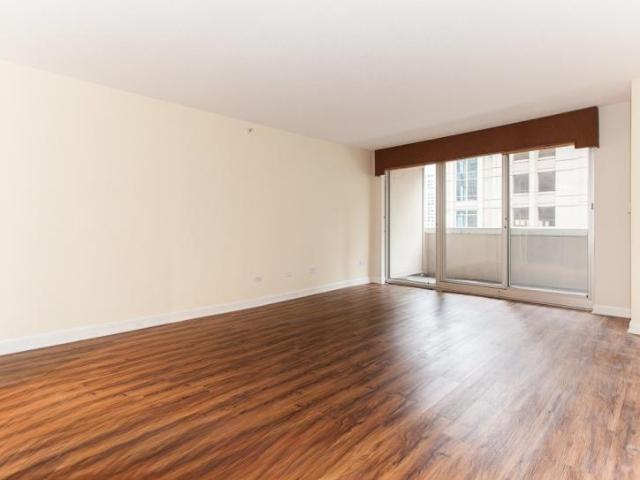 1 bedroom, Chicago IL 60654 LS97001589