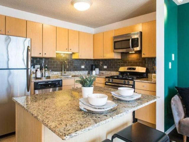 1 bedroom, Chicago IL 60601 105834973