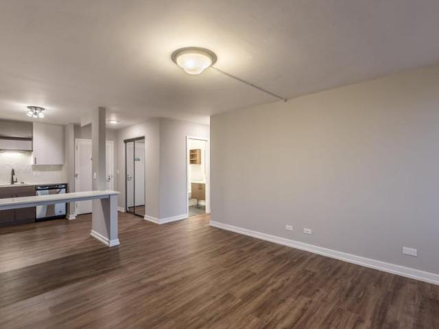 1 bedroom, Chicago IL 60605 105884071