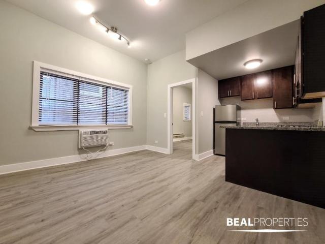 1 bedroom, CHICAGO IL 60610 102774896