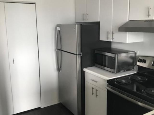 1 bedroom, Chicago IL 60611 100701343