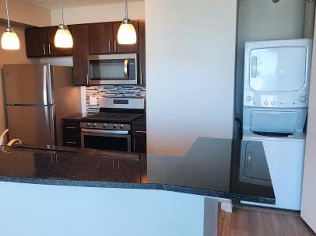 1 bedroom, Chicago IL 60611 105884043
