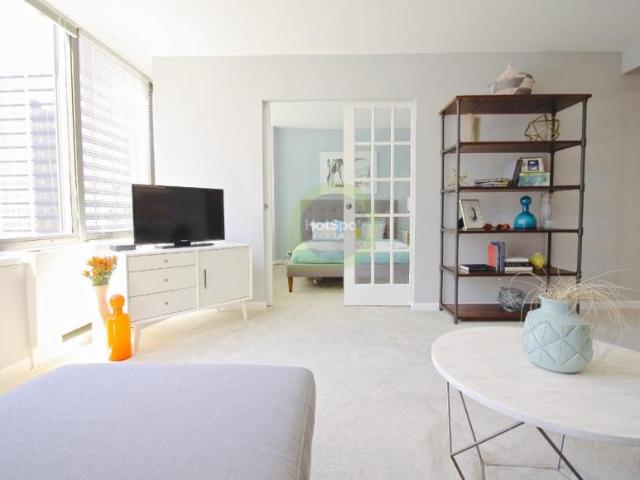 1 bedroom, Chicago IL 60611 105969980