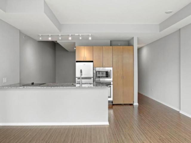 1 bedroom, Chicago IL 60611 106026838