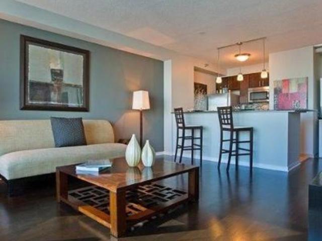 1 bedroom, Chicago IL 60611 LS105320494