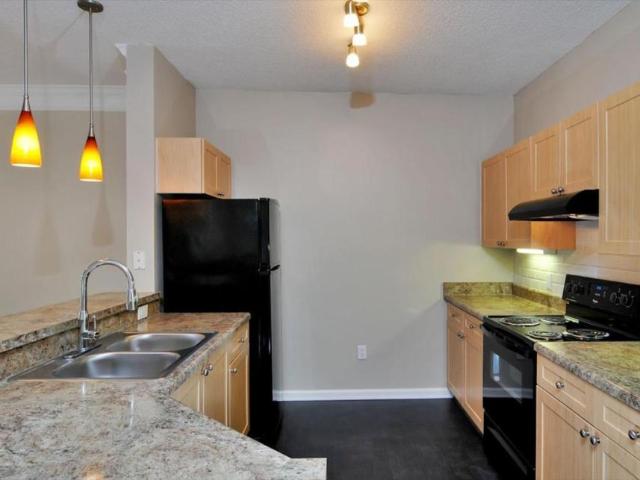 1 bedroom, Alpharetta GA 30022 94012585