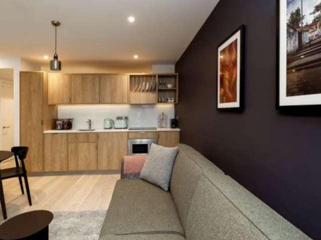 1 bedroom apt for rent in Grassmarket, Edinburgh