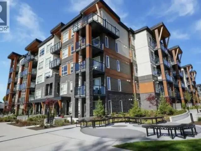 1 Bedroom Apartment Maple Ridge BC 104842141