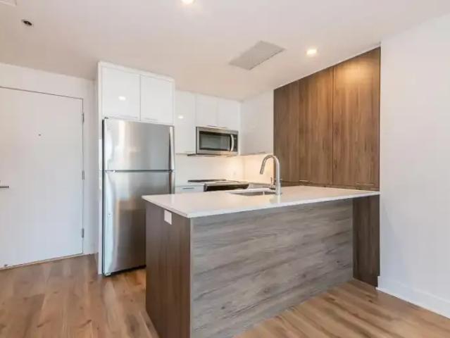 1 Bedroom Apartment Montreal QC 104752157