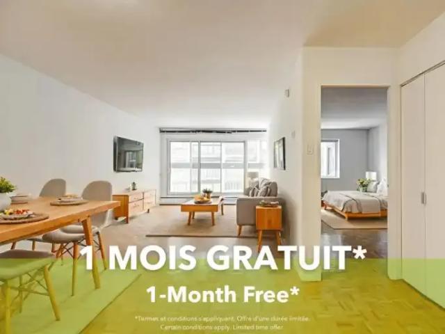 1 Bedroom Apartment Montreal QC 98785524