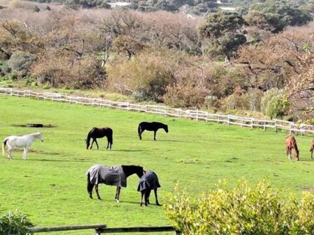 1 Bedroom Apartment Noordhoek Western Cape LS103429874