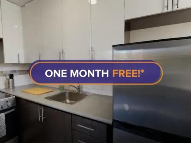 1 Bedroom Apartment Ottawa ON 101474065