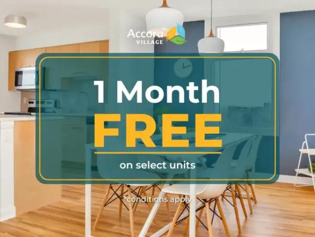 1 Bedroom Apartment Ottawa ON 103694440
