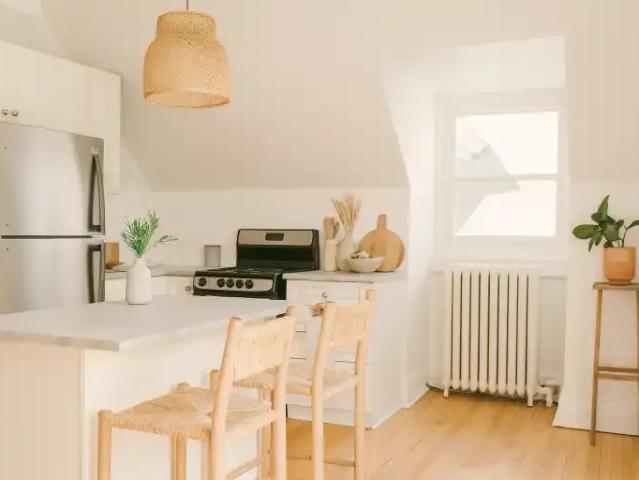 1 Bedroom Apartment Ottawa ON 103879228