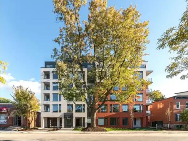 1 Bedroom Apartment Ottawa ON 103919960