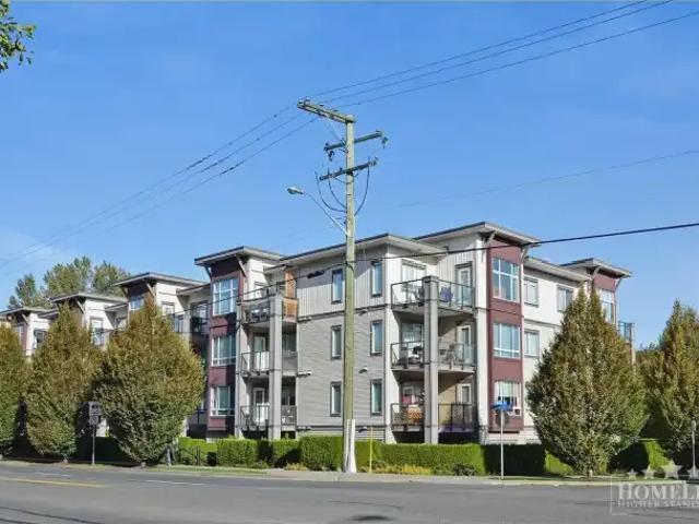 1 Bedroom Apartment Abbotsford BC 103367982