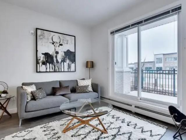 1 Bedroom Apartment Airdrie AB 104401279