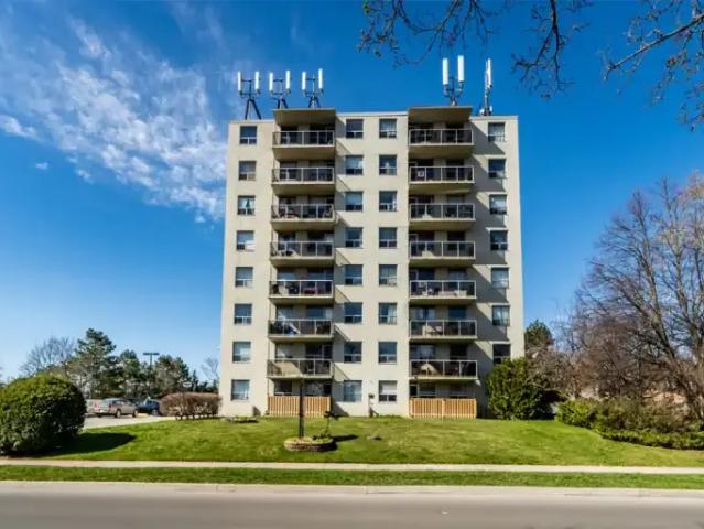 1 Bedroom Apartment Burlington ON 103651393