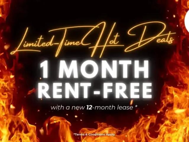1 Bedroom Apartment Brampton ON 99304061