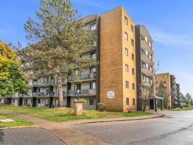 1 Bedroom Apartment Brantford ON 105485816