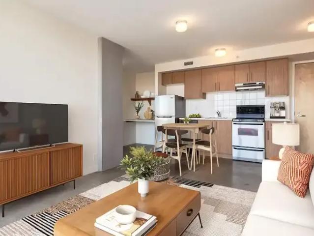 1 Bedroom Apartment Calgary AB 104469888