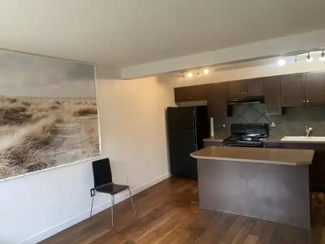 1 Bedroom Apartment Calgary AB 104985246