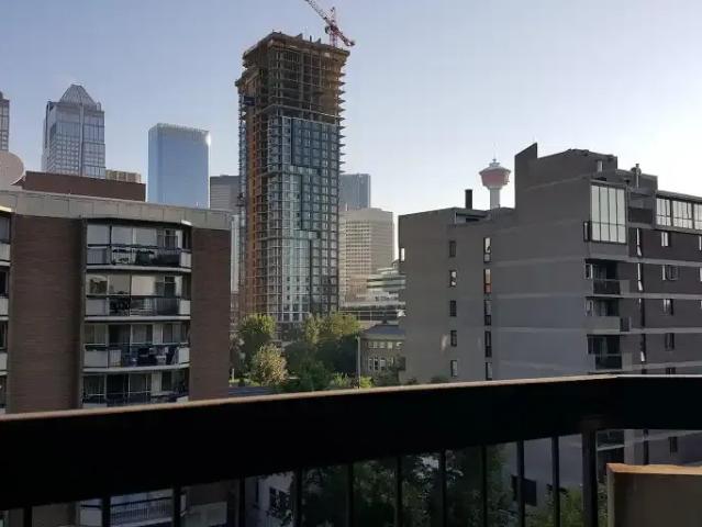1 Bedroom Apartment Calgary AB 104986145