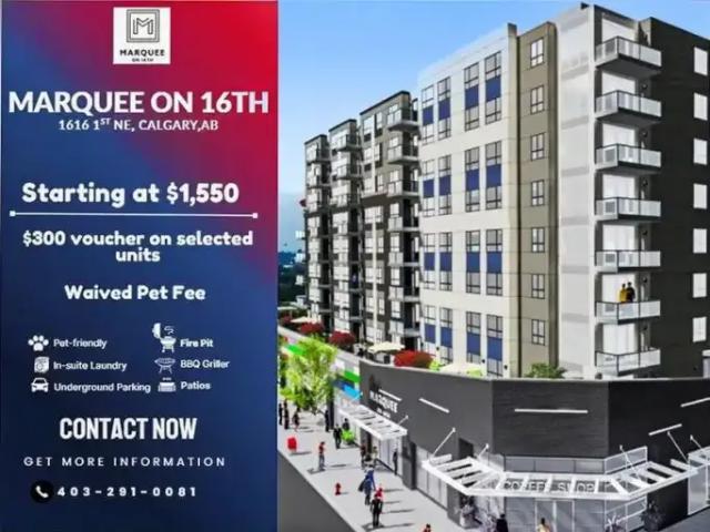 1 Bedroom Apartment Calgary AB 105623364
