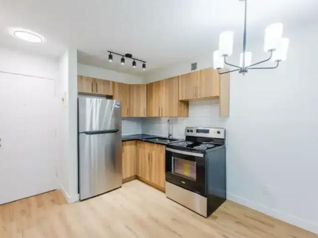 1 Bedroom Apartment Calgary AB 100410343