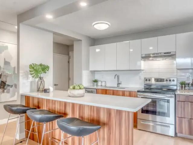 1 Bedroom Apartment Calgary AB 103652735