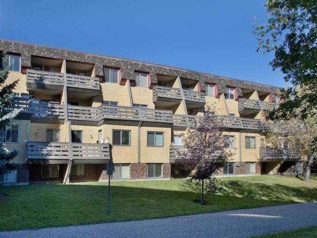 1 Bedroom Apartment Calgary AB 96586197