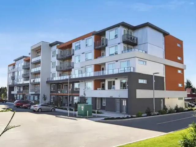 1 Bedroom Apartment Campbell River BC LS105046954