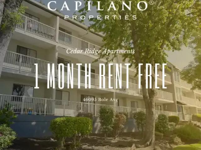 1 Bedroom Apartment Chilliwack BC 104794332