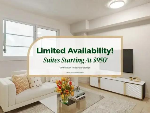 1 Bedroom Apartment Edmonton AB LS104841094