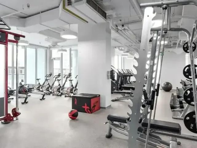 1 Bedroom Apartment Edmonton AB LS92351833
