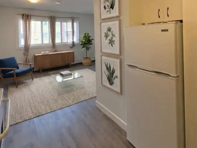 1 Bedroom Apartment Edmonton AB 101789537