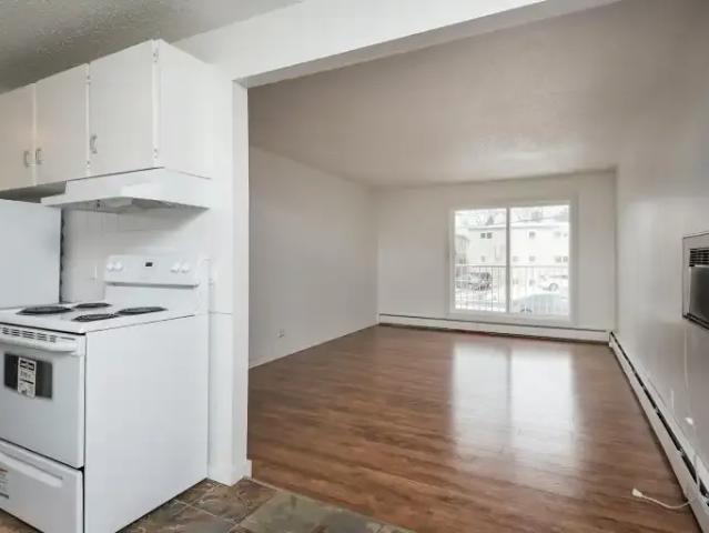 1 Bedroom Apartment Edmonton AB 103379906